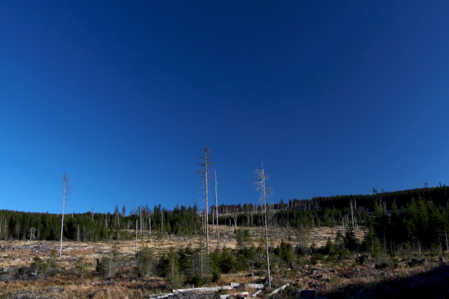 Hůrecké údolí, Stará Hůrka, Šumava, Západní čechy