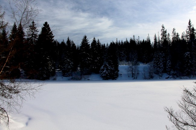 Ledovcové jezero Laka, Stará Hůrka, Běžecké lyžování, Šumava