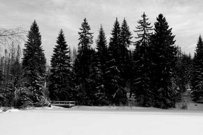 Ledovcové jezero Laka, Stará Hůrka, Běžecké lyžování, Šumava