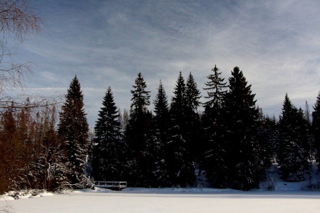 Ledovcové jezero Laka, Stará Hůrka, Běžecké lyžování, Šumava