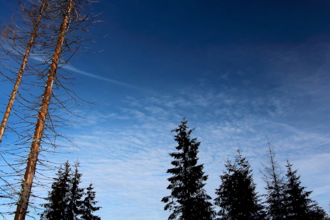 Ledovcové jezero Laka, Stará Hůrka, Běžecké lyžování, Šumava