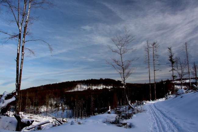 Vodní kanál, Rudská křižovatka, Jezero Laka, Stará Hůrka, Běžecké lyžování, Šumava