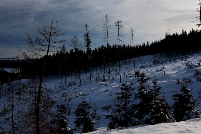 Vodní kanál, Rudská křižovatka, Jezero Laka, Stará Hůrka, Běžecké lyžování, Šumava