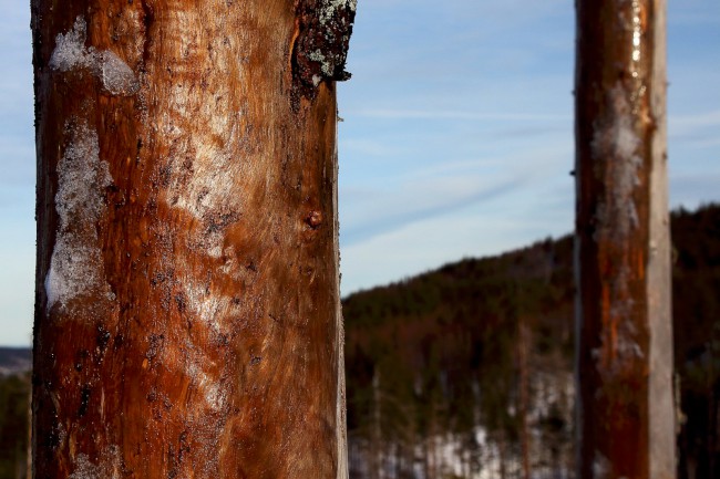 Vodní kanál, Rudská křižovatka, Jezero Laka, Stará Hůrka, Běžecké lyžování, Šumava