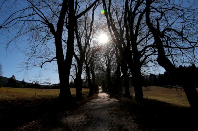 Polomské údolí, Hůrecká alej, Stará Hůrka, Šumava, Západní čechy