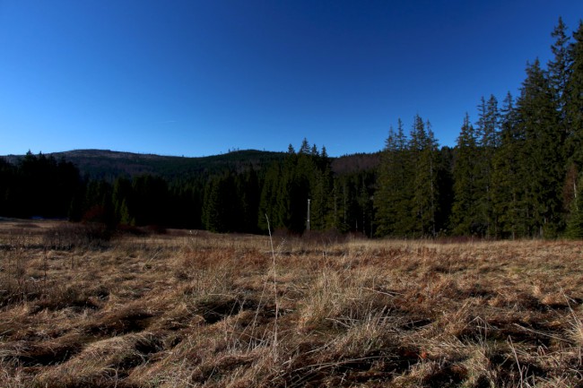 Polomské údolí, Hůrecká alej, Stará Hůrka, Šumava, Západní čechy