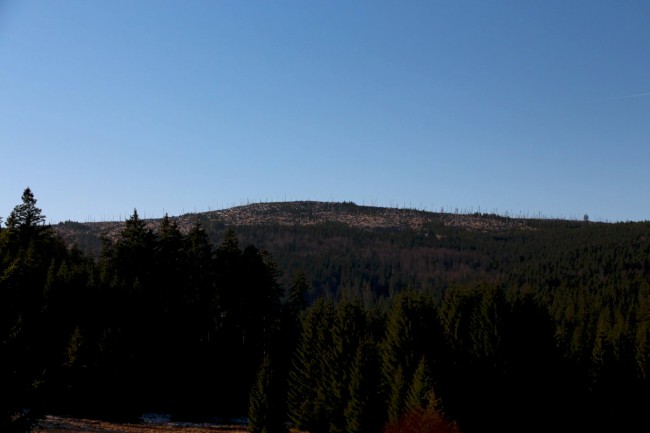 Polomské údolí, Hůrecká alej, Stará Hůrka, Šumava, Západní čechy