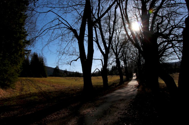 Polomské údolí, Hůrecká alej, Stará Hůrka, Šumava, Západní čechy