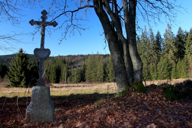 Polomské údolí, Hůrecká alej, Stará Hůrka, Šumava, Západní čechy