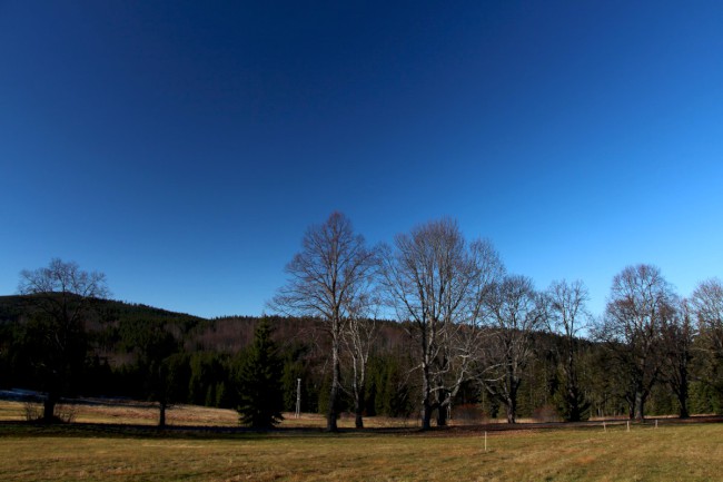 Polomské údolí, Hůrecká alej, Stará Hůrka, Šumava, Západní čechy