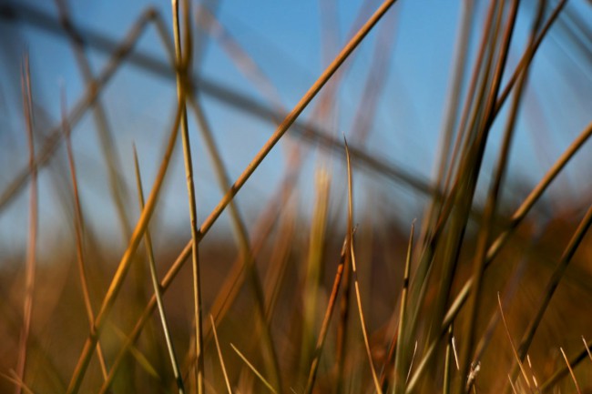 Polomské údolí, Hůrecká alej, Stará Hůrka, Šumava, Západní čechy