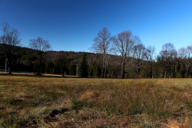 Polomské údolí, Hůrecká alej, Stará Hůrka, Šumava, Západní čechy