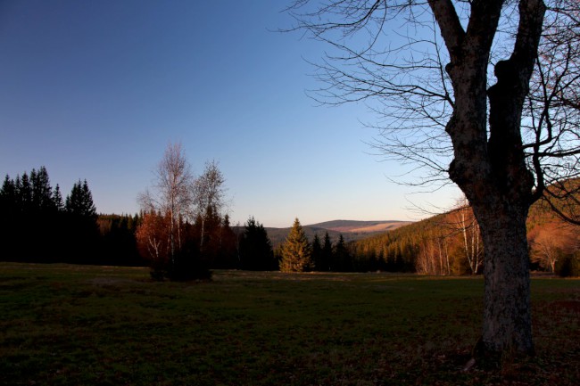 Polomské údolí, Hůrecká alej, Stará Hůrka, Šumava, Západní čechy