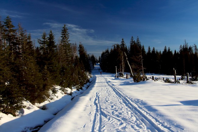 Horní Ždánidla, hora a rozhledna Poledník, Prášily, Běžecké lyžování, Šumava