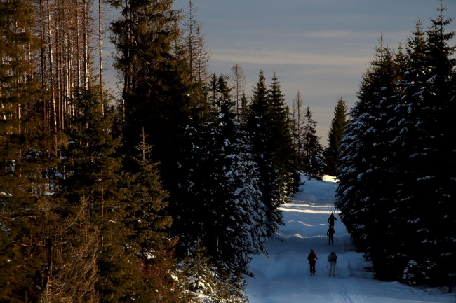 Horní Ždánidla, hora a rozhledna Poledník, Prášily, Běžecké lyžování, Šumava