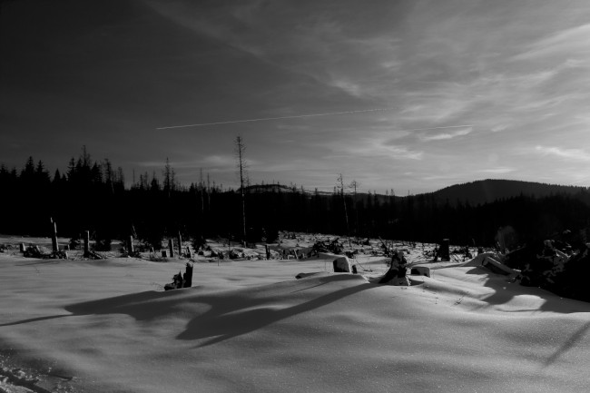 Horní Ždánidla, hora a rozhledna Poledník, Prášily, Běžecké lyžování, Šumava