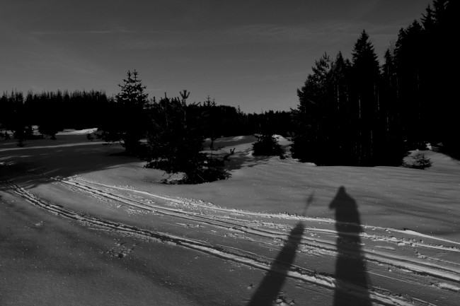 Horní Ždánidla, hora a rozhledna Poledník, Prášily, Běžecké lyžování, Šumava