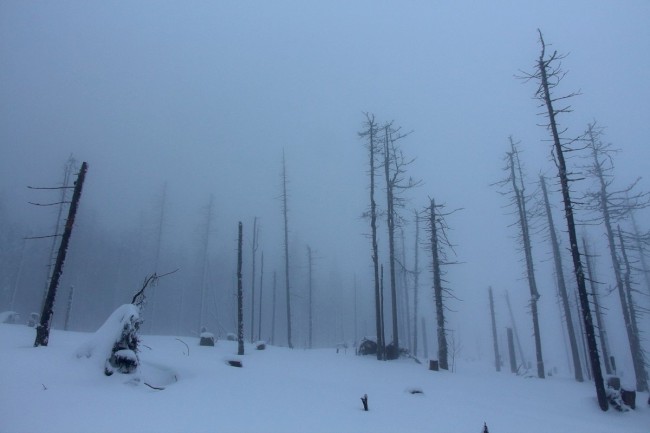 Výstup na Jezerní horu 1343m, Šumava, Špičák