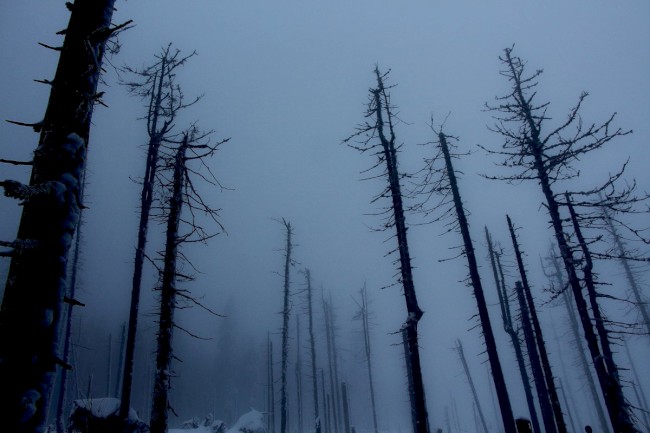 Výstup na Jezerní horu 1343m, Šumava, Špičák