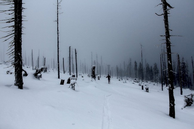 Výstup na Jezerní horu 1343m, Šumava, Špičák