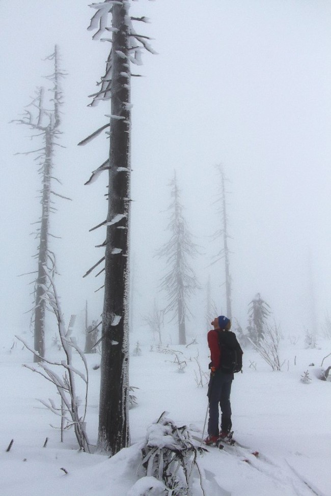 Výstup na Jezerní horu 1343m, Šumava, Špičák