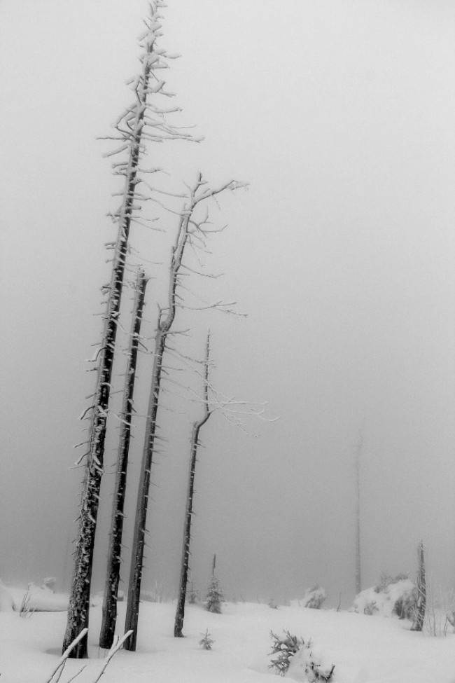 Výstup na Jezerní horu 1343m, Šumava, Špičák