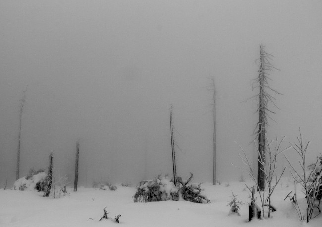 Výstup na Jezerní horu 1343m, Šumava, Špičák