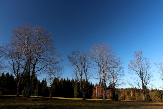 Stará Hůrka, kaple a kostel svatého Kříže, Šumava, Západní čechy