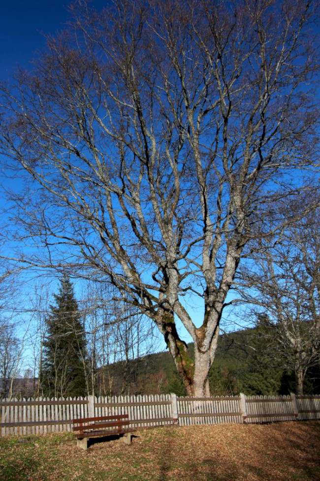 Stará Hůrka, kaple a kostel svatého Kříže, Šumava, Západní čechy