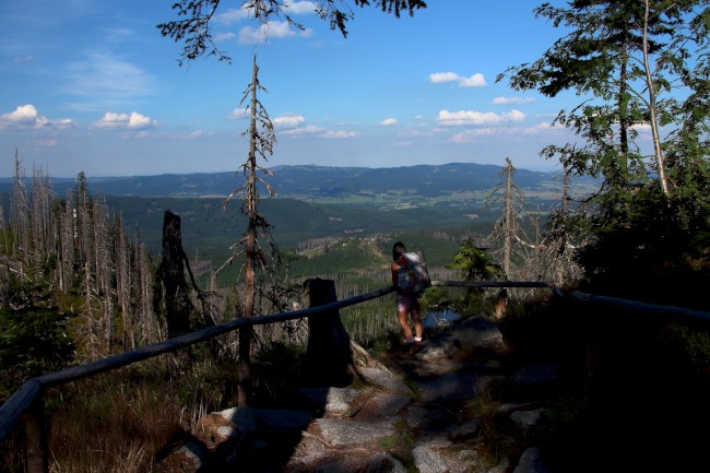 Vrchol Plechý (1378 m), Šumava, Jižní Čechy