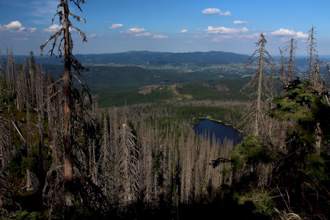 Vrchol Plechý (1378 m), Šumava, Jižní Čechy