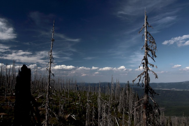 Vrchol Plechý (1378 m), Šumava, Jižní Čechy