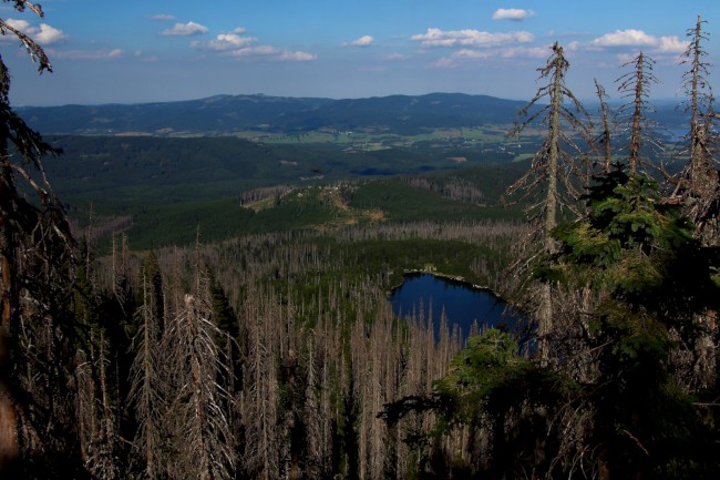 Vrchol Plechý (1378 m), Šumava, Jižní Čechy