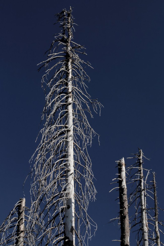 Vrchol Plechý (1378 m), Šumava, Jižní Čechy