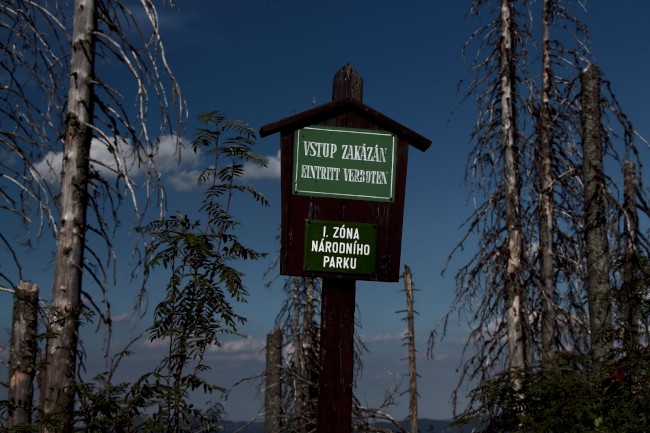 Vrchol Plechý (1378 m), Šumava, Jižní Čechy