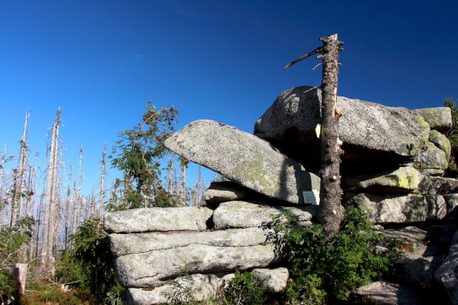 Vrchol Plechý (1378 m), Šumava, Jižní Čechy