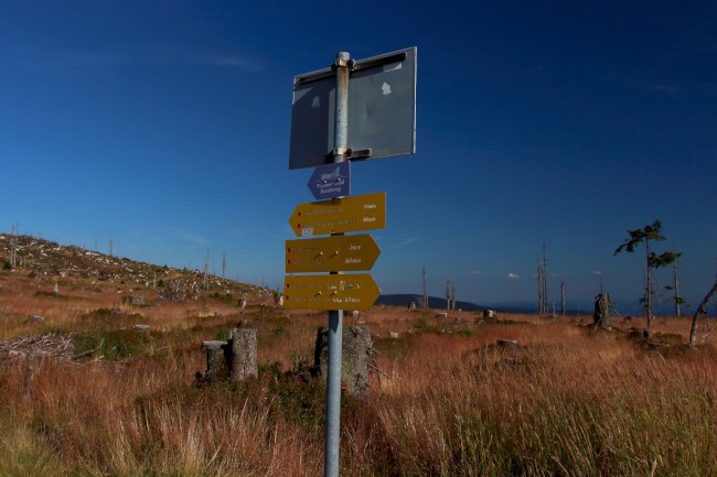 Rakouská louka (1345 m), Plechý, Trojmezná, Šumava, Jižní Čechy