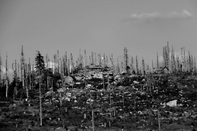 Rakouská louka (1345 m), Plechý, Trojmezná, Šumava, Jižní Čechy