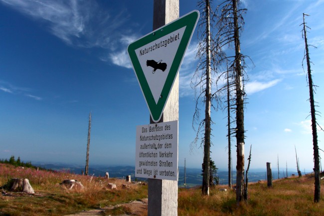 Trojmezí, hranice tří států, Šumava, Jižní Čechy