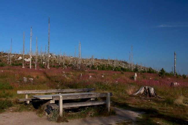 Trojmezí, hranice tří států, Šumava, Jižní Čechy