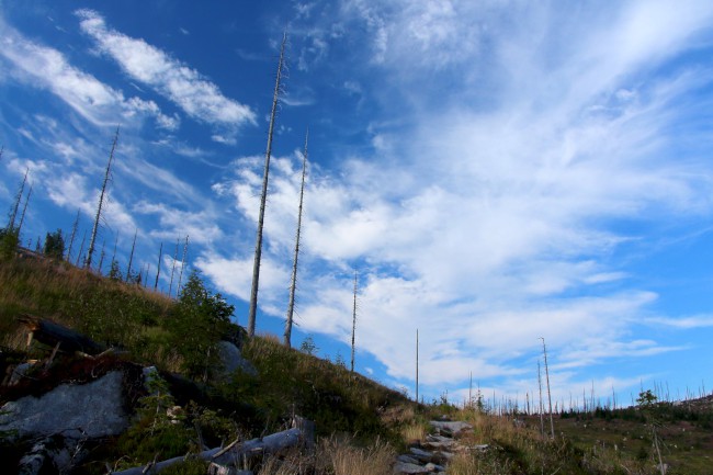 Trojmezí, hranice tří států, Šumava, Jižní Čechy