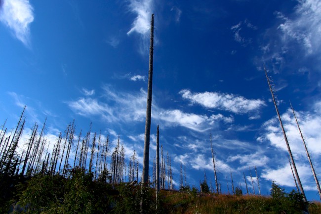 Trojmezí, hranice tří států, Šumava, Jižní Čechy