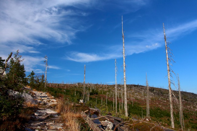 Trojmezí, hranice tří států, Šumava, Jižní Čechy