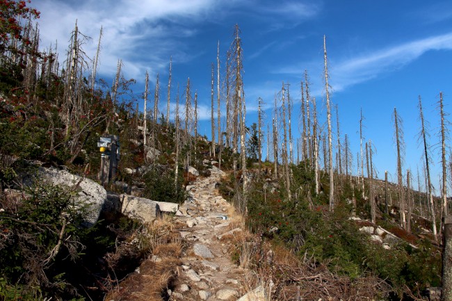 Trojmezí, hranice tří států, Šumava, Jižní Čechy