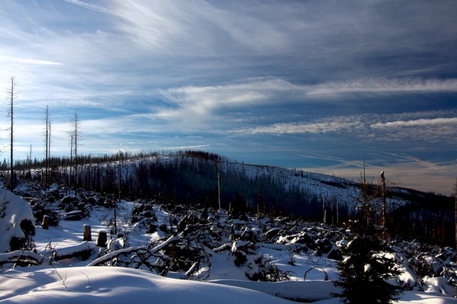 Ždánidla, Ledovcové jezero Laka, Stará Hůrka, Běžecké lyžování, Šumava