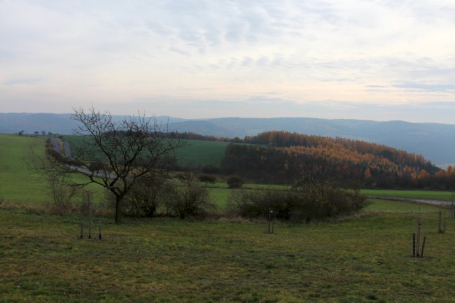 Velá Buková, Hon na křivoklátského hada, Vyhlídka na Hřebínku, Křivoklátsko, Chráněná krajinná oblast 