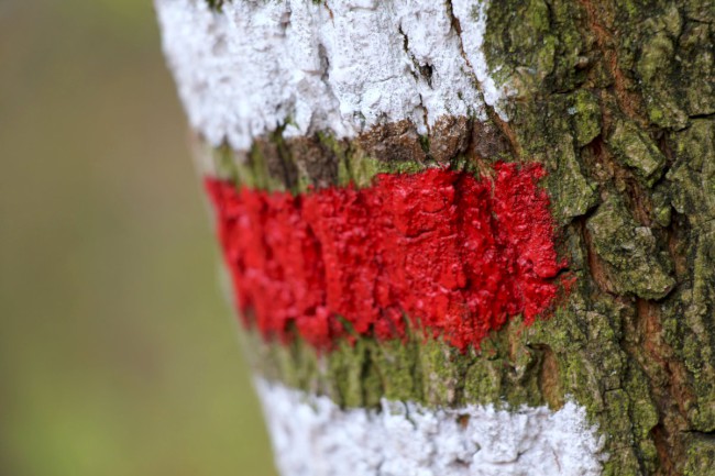 Velá Buková, Hon na křivoklátského hada, Vyhlídka na Hřebínku, Křivoklátsko, Chráněná krajinná oblast 