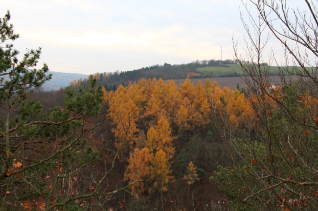 Velá Buková, Hon na křivoklátského hada, Vyhlídka na Hřebínku, Křivoklátsko, Chráněná krajinná oblast 