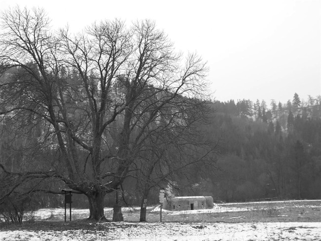 Rabštejn nad Střelou, židovský hřbitov, Horův Mlýn, pevnosti, Jarní výlet Rabštejn, Manětín, Mariánská Týnice